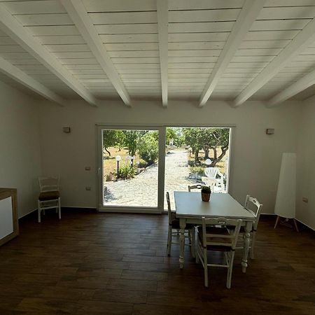 Tenuta Pizzi سان بييترو فيرنوتيكو المظهر الخارجي الصورة