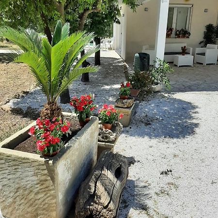 Tenuta Pizzi سان بييترو فيرنوتيكو المظهر الخارجي الصورة