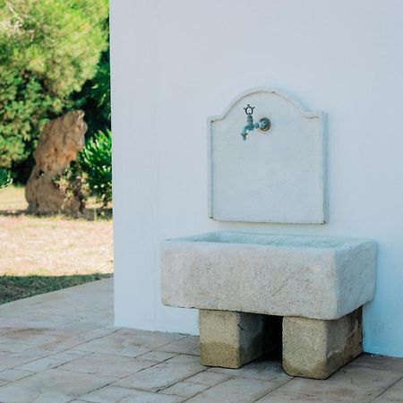 Tenuta Pizzi سان بييترو فيرنوتيكو المظهر الخارجي الصورة