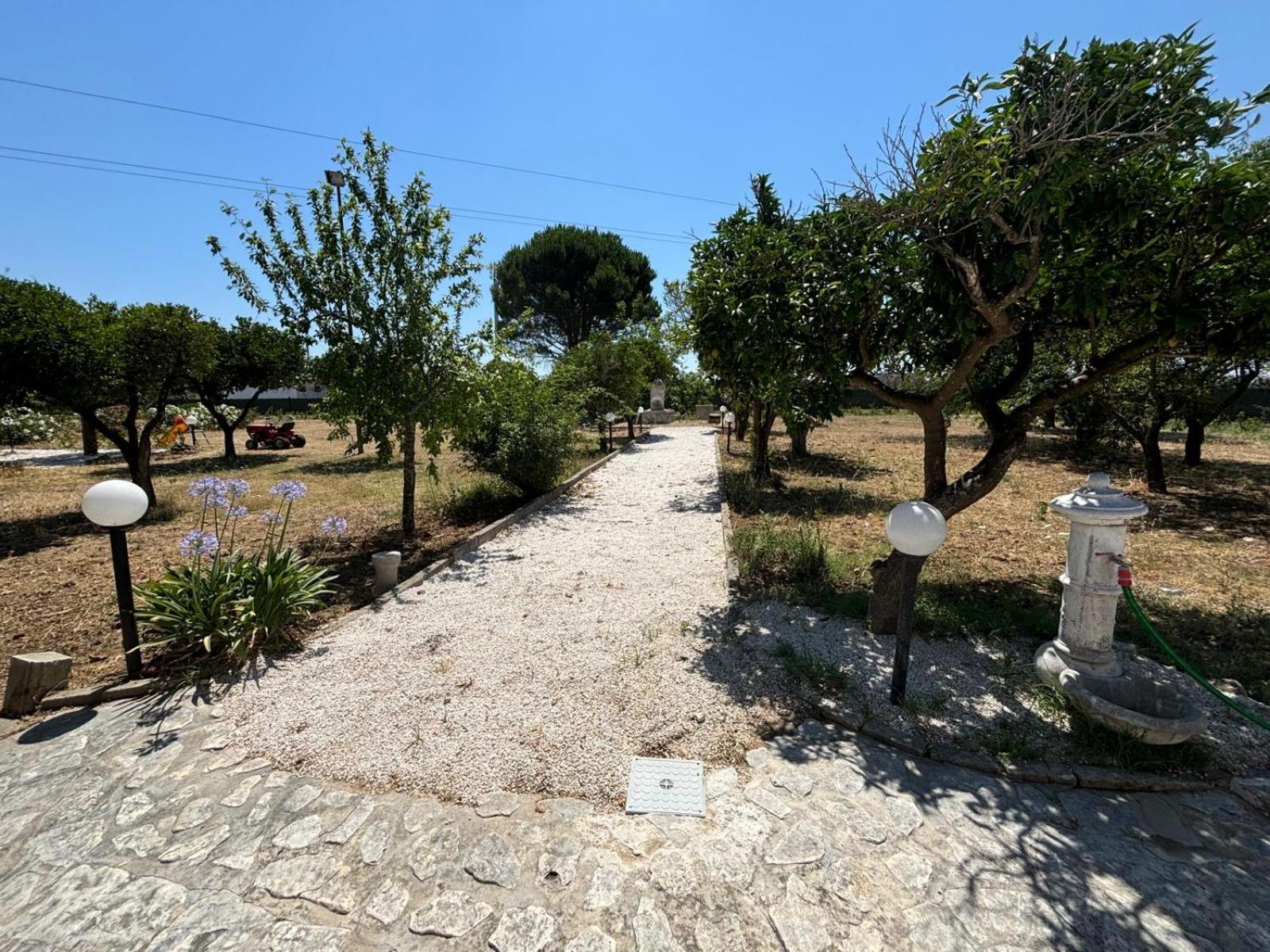 Tenuta Pizzi سان بييترو فيرنوتيكو المظهر الخارجي الصورة