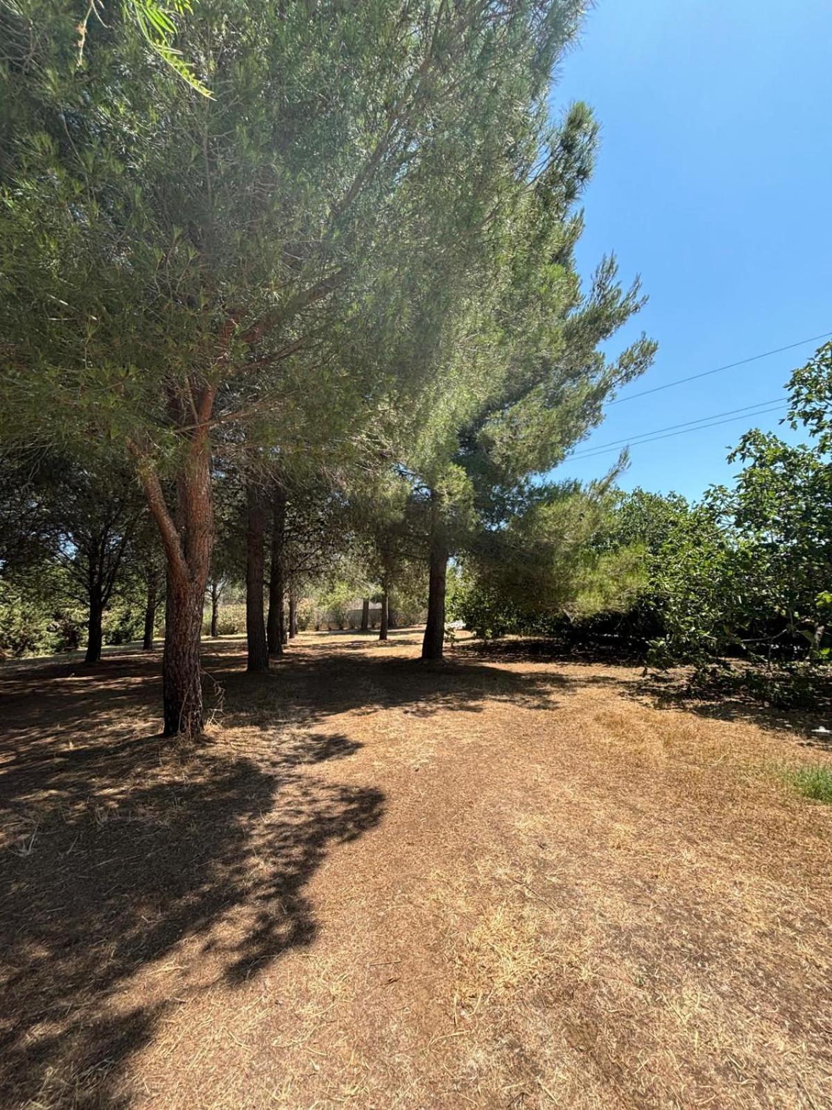 Tenuta Pizzi سان بييترو فيرنوتيكو المظهر الخارجي الصورة