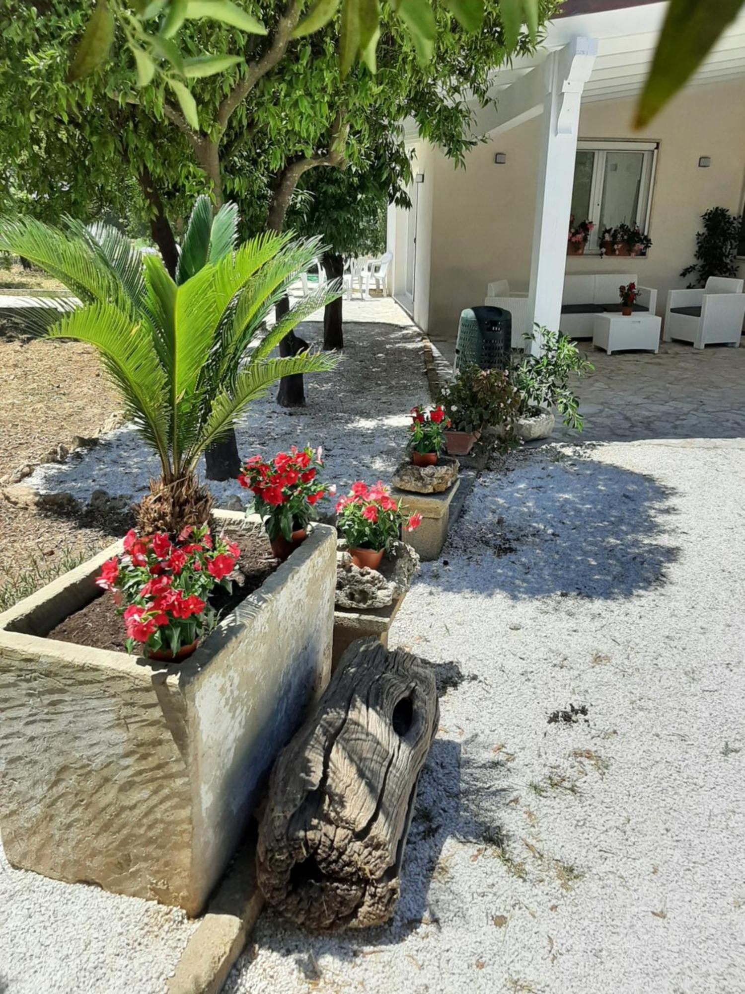 Tenuta Pizzi سان بييترو فيرنوتيكو المظهر الخارجي الصورة
