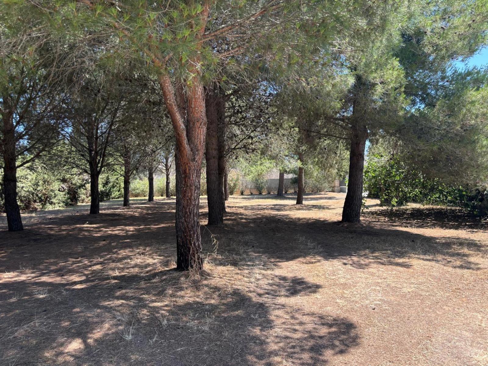 Tenuta Pizzi سان بييترو فيرنوتيكو المظهر الخارجي الصورة